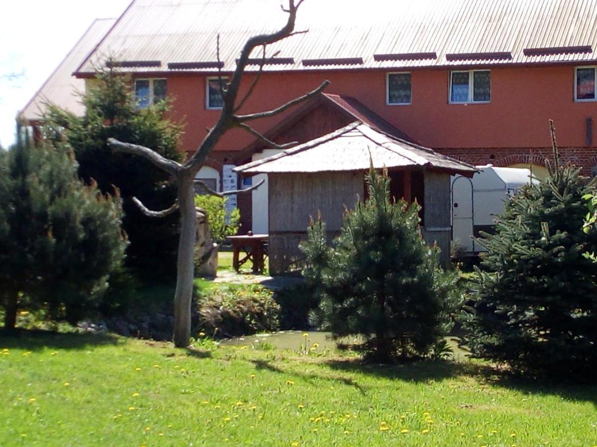 Agroturystyka Andrzejowka Czerniki エクステリア 写真