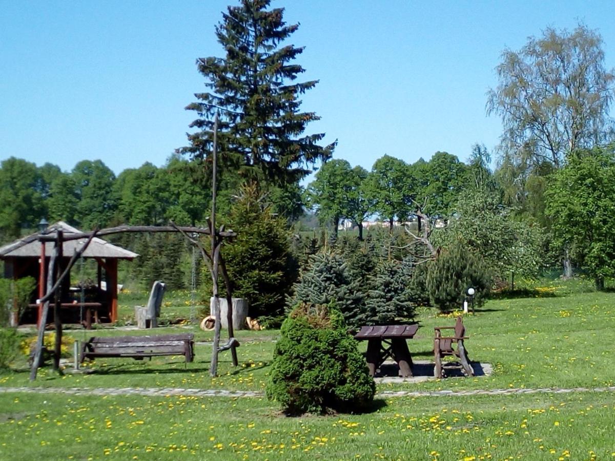 Agroturystyka Andrzejowka Czerniki エクステリア 写真